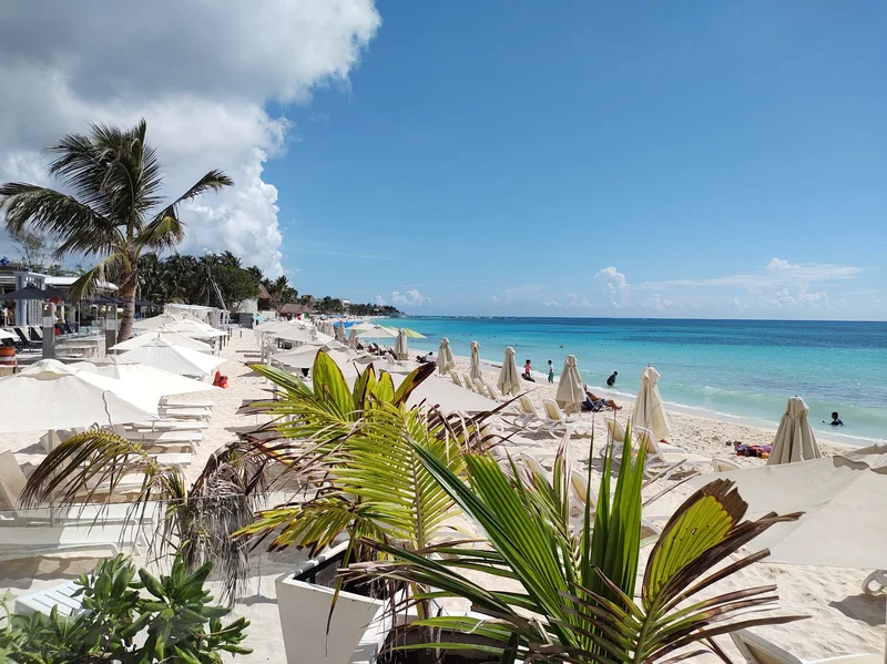 Playa Mamitas