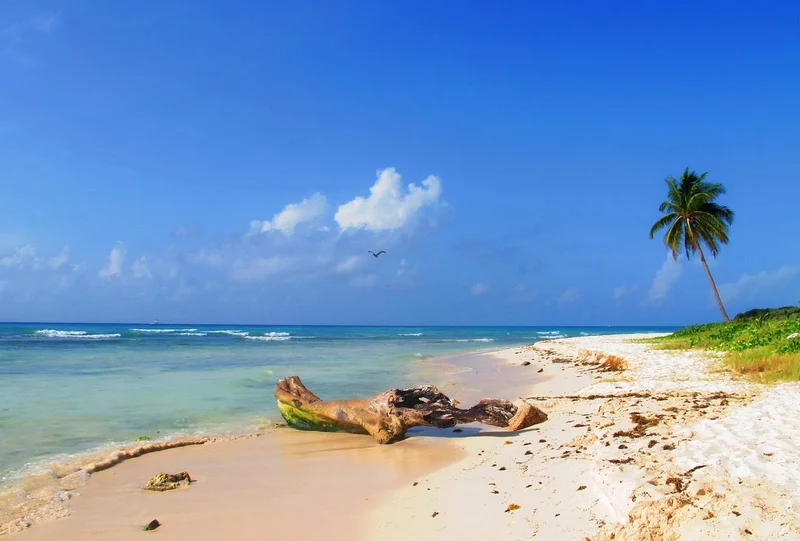 Playa Punta Esmeralda