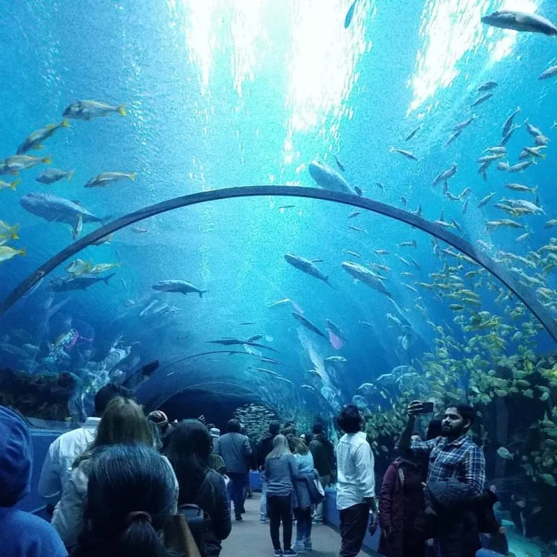 Interactive Aquarium Cancún