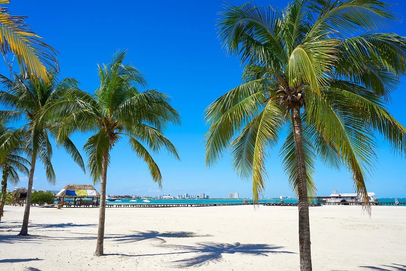 Playa Langosta