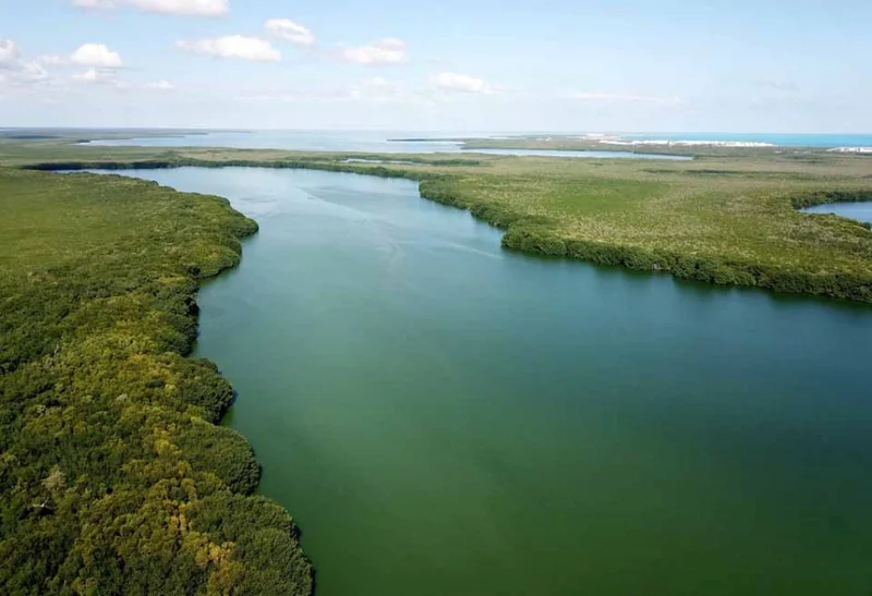 Laguna Manatí Puerto Juárez