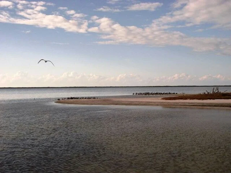 Laguna Conil