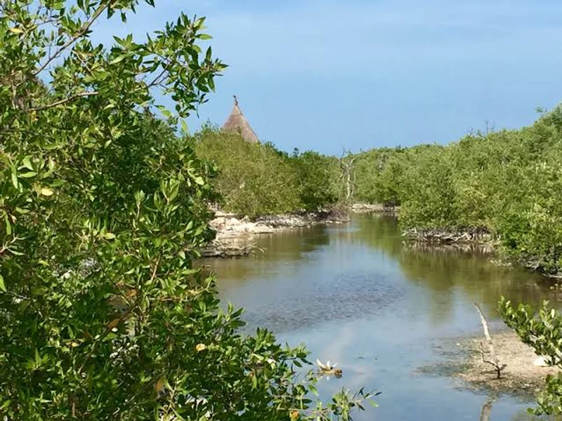 Manglares de Holbox