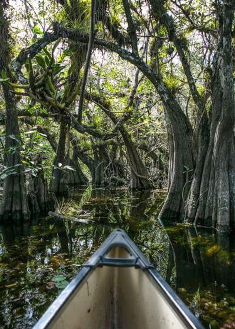El Corchal (Holbox)