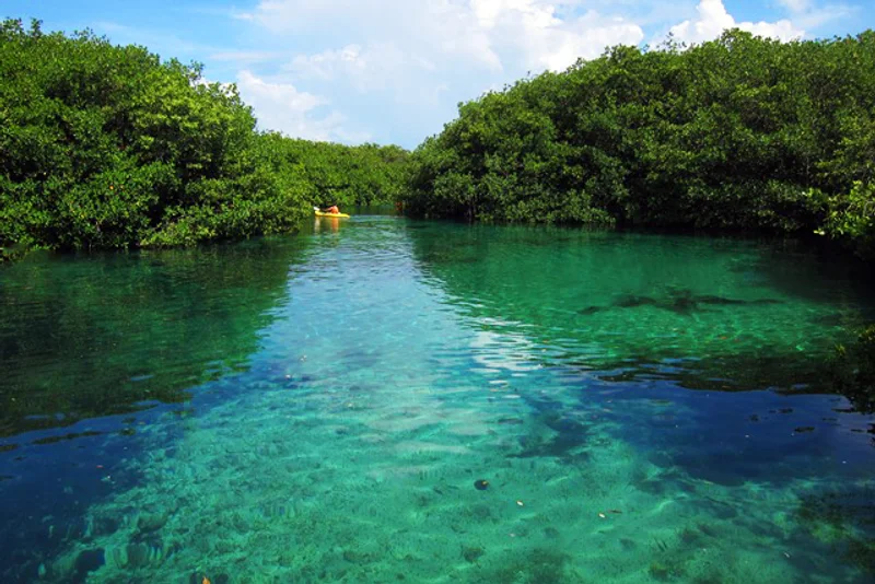 Casa Cenote (Cenote Manatí)