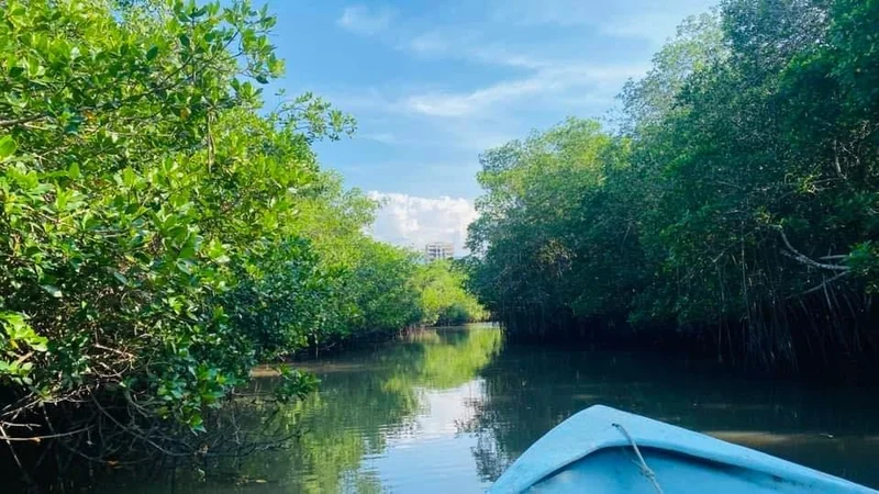 Estero El Salado