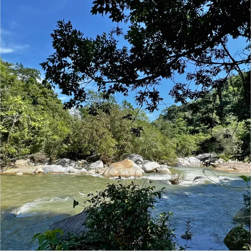 Río Horcones
