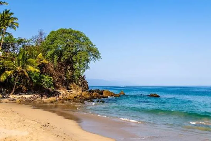 Playa Amapas