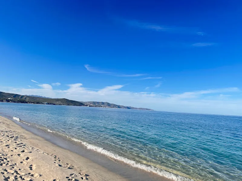 Playa Buena Vista