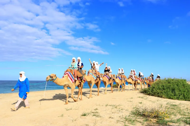 Outback & Camel Safari by Cabo Adventures