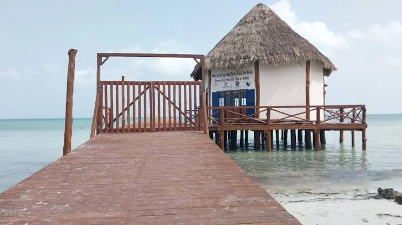 Mirador del Muelle de Holbox