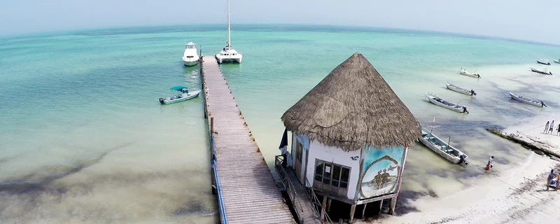 Muelle Tiburón Ballena