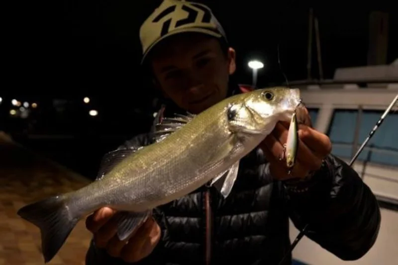 Pesca Nocturna en Holbox