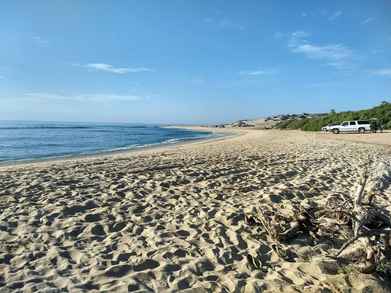 Playa Nine Palms