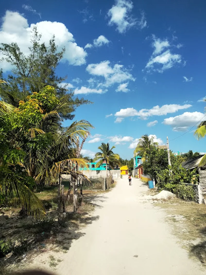 El Cuyo