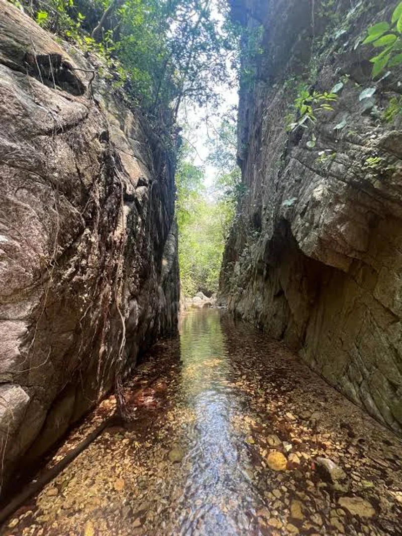 CASCADA EL NOGALITO