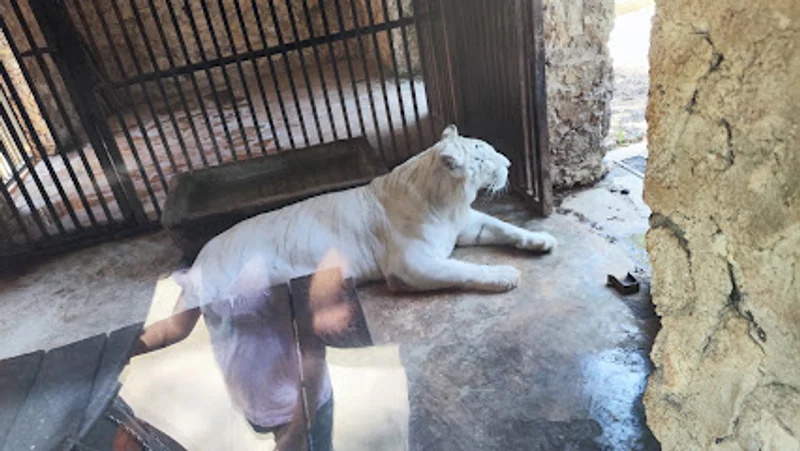 Zoológico Tizimín
