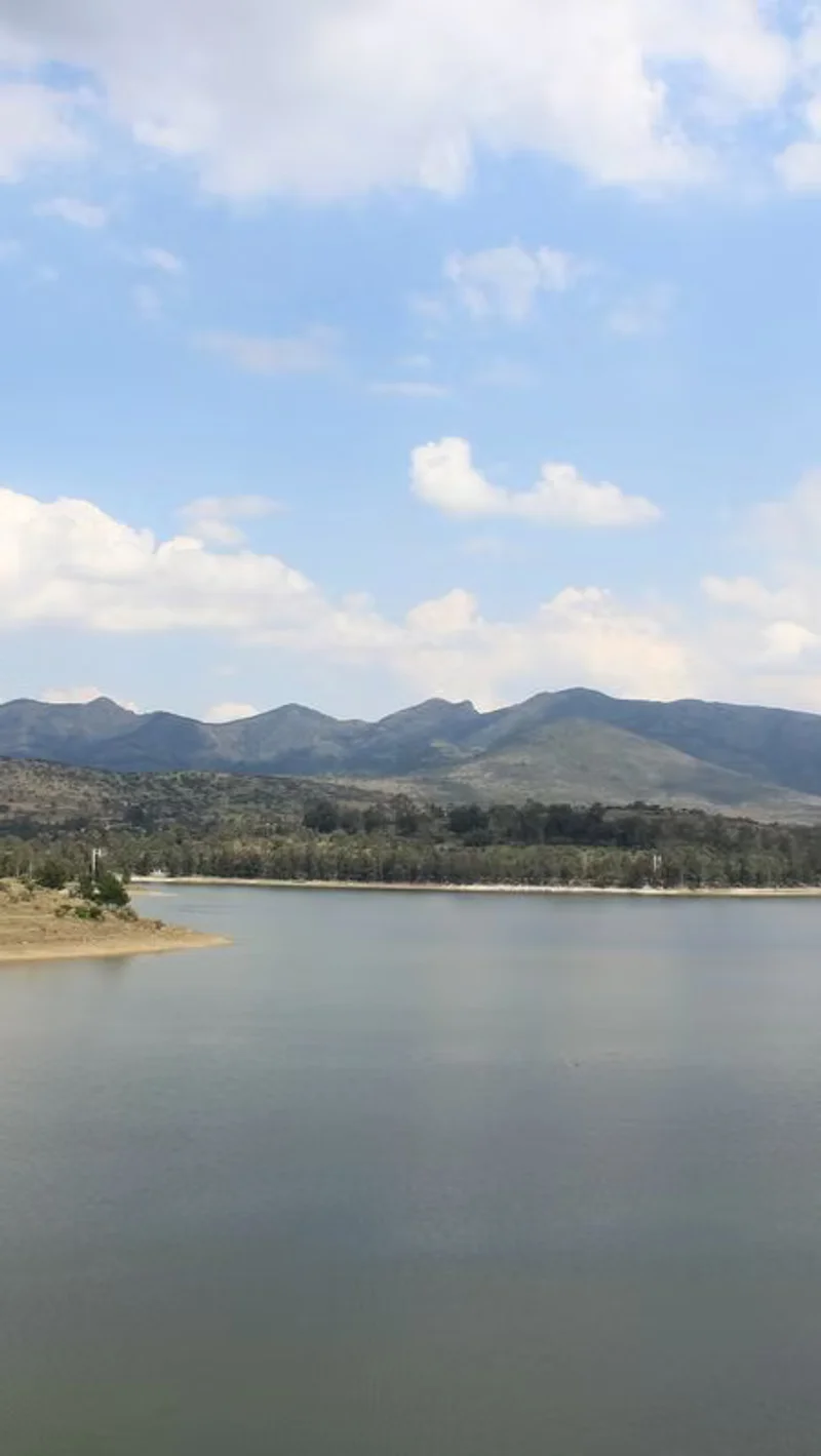 Presa de La Concepción